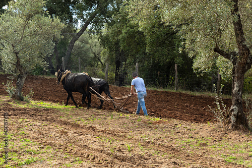 Paisaje con agricultor arando la tierra. © Lola Fdez. Nogales
