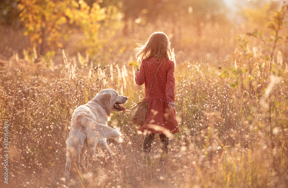 Fototapeta premium Little girl with dog in autumn nature