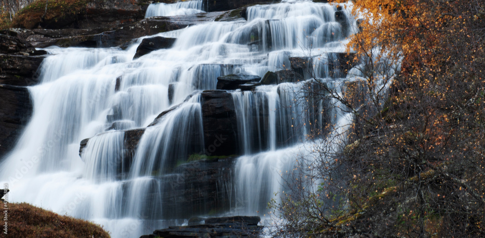 Soft Autumn Waters Soft Autumn Waters