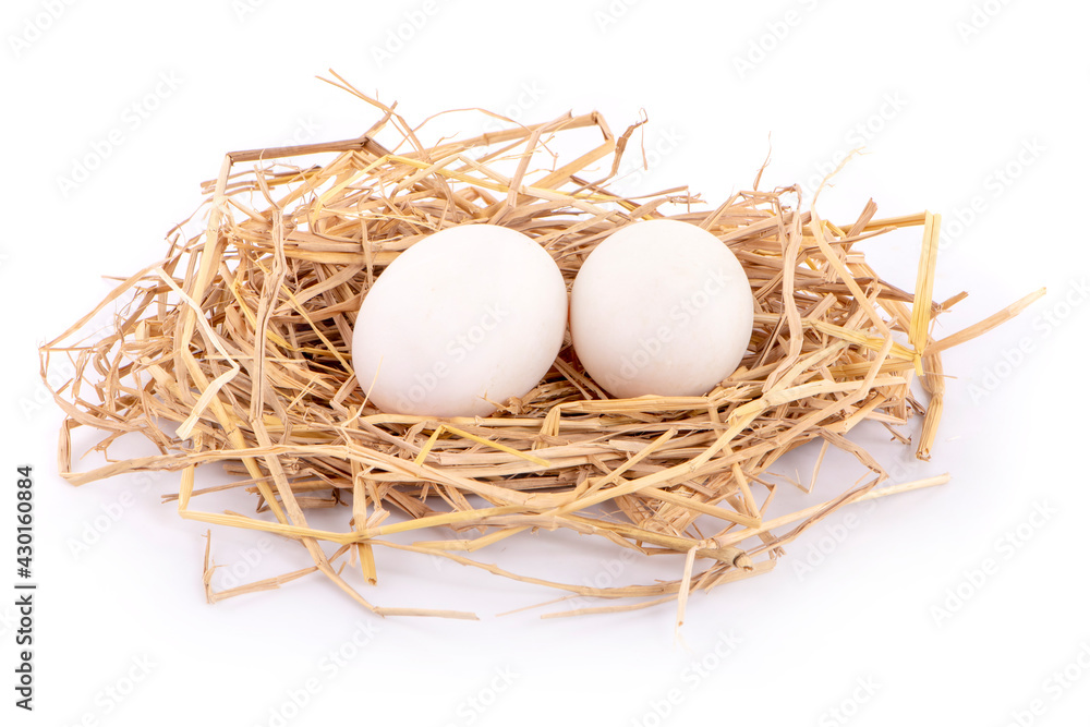 duck eggs in the hay nest on white background duck eggs in the hay nest on white background