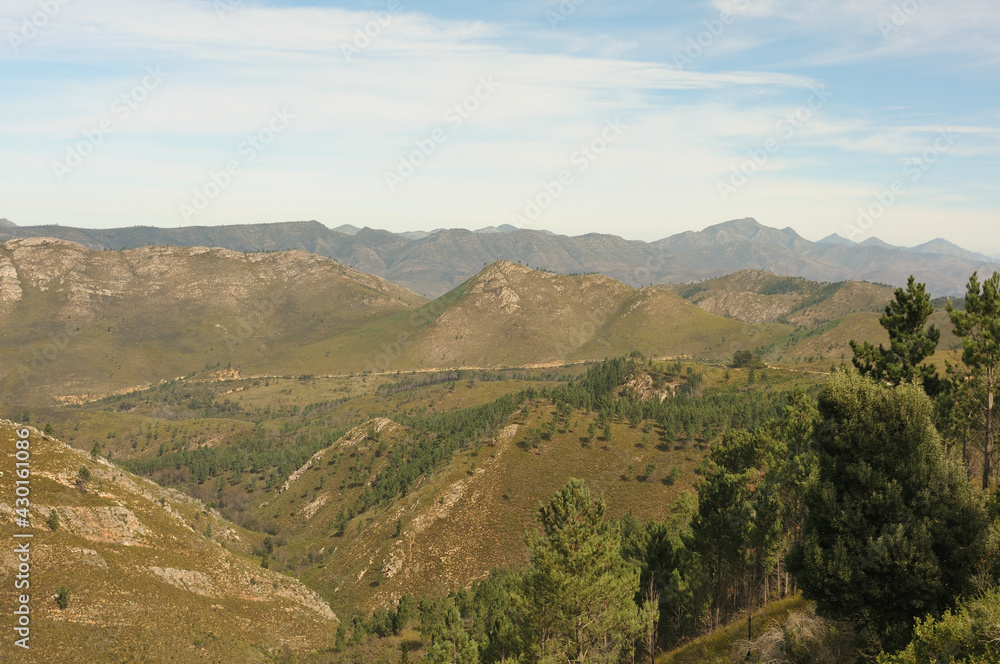 Rows upon rows of green valleys unfolding in the Outeniqua Mountains in the Western Cape