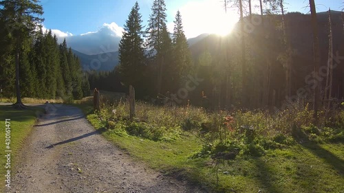 View of polish mountains nature in Zakopane, Poland during autumn sunny day.