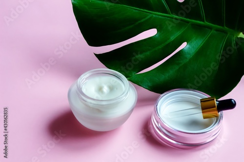 Face and body care concept. Close-up sheffler leaf and eco clean cosmetics cream, on pink background with place for text photo