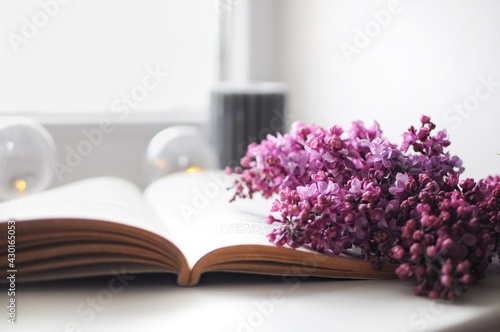 Beautiful composition with opened book and lilac flowers. Romantic wallpaper. © Yurii Kushniruk
