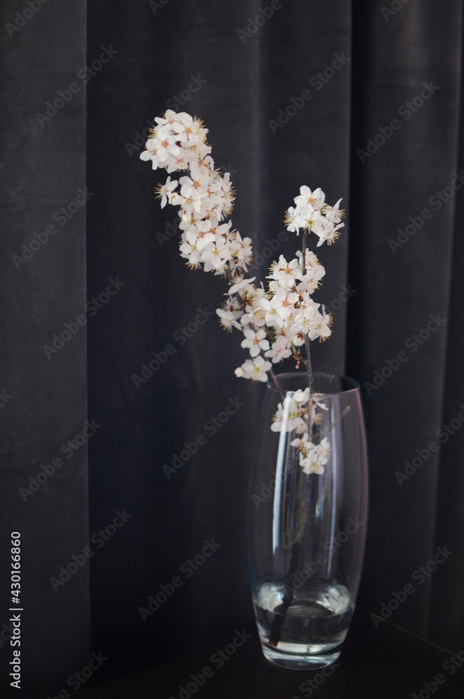 Spring apple blossom flowers in vase on dark background. Home minimalism decor