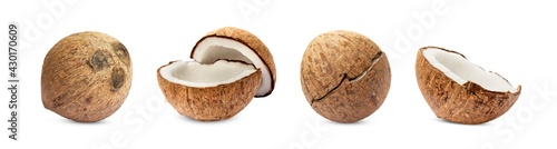 Collection of coconut isolated on white Background