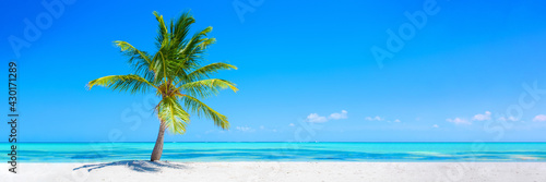 Obraz na płótnie Banner of idyllic tropical beach with white sand, palm tree and turquoise blue o