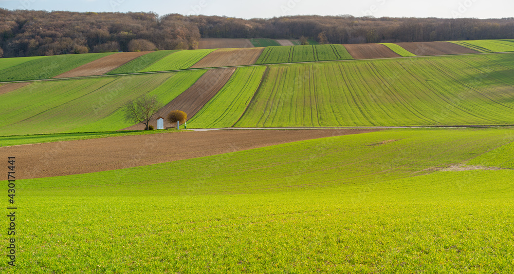 Lower Austria Fields