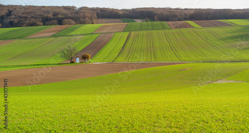 Obraz na płótnie Lower Austria Fields w salonie