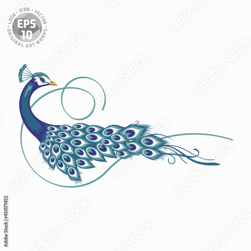 abstract peacock logo vector template