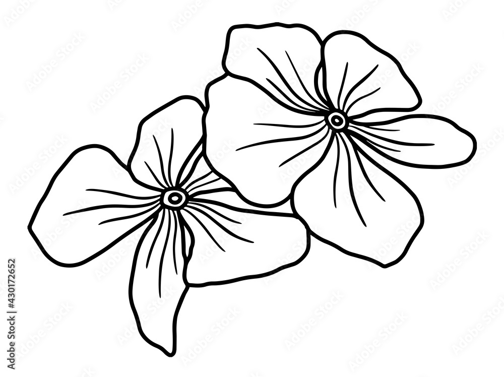 Hand drawing and sketch flower with line art illustration. Hand drawing and sketch flower with line art illustration.