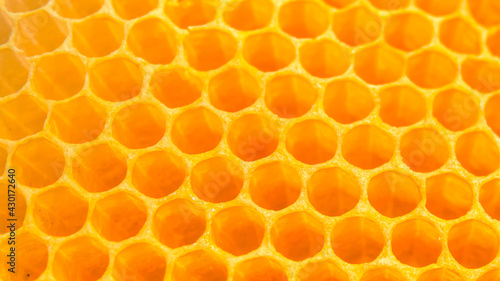Closeup of honeycomb,selective focus, copy space