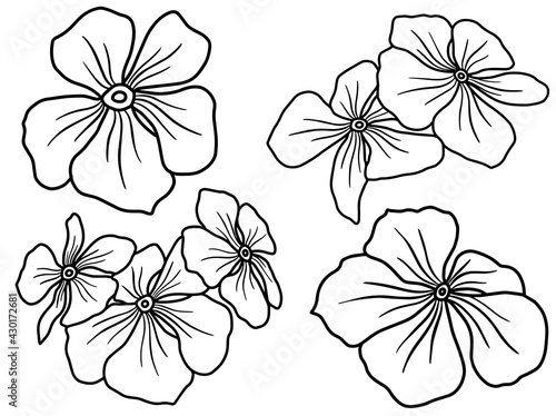 Hand drawing and sketch flower with line art illustration.