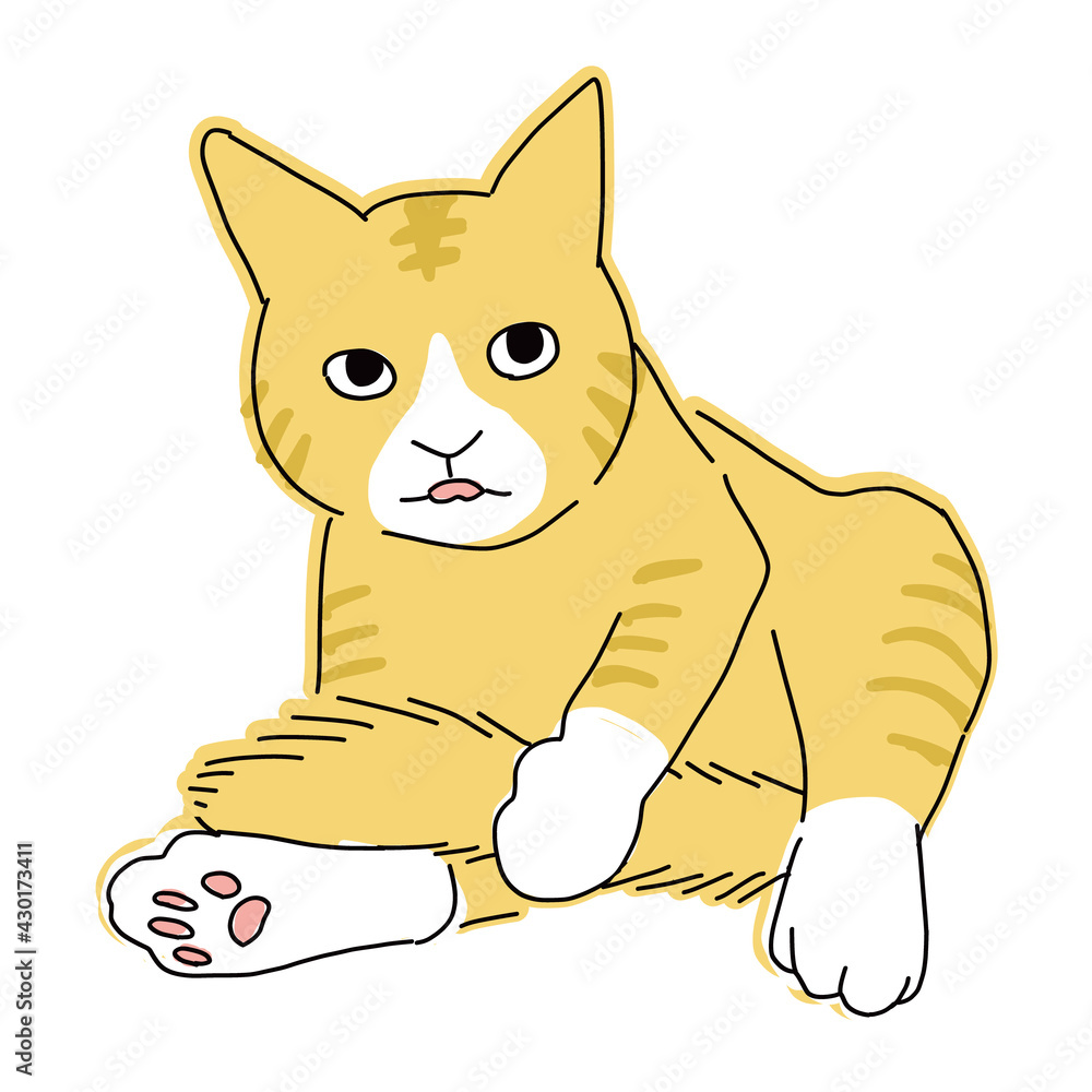 Obraz premium 尻尾を舐めているグルーミング中の茶トラのハチワレ猫