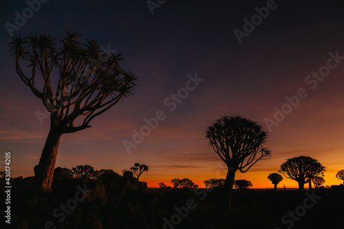 Namibia. The Quiver Tree Forest is located about 14 km northeast of Kitmanshoop  on the way to the small village of Koes in southern Namibia