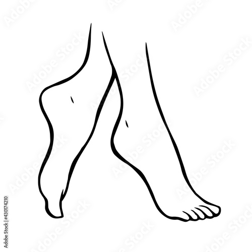 Line drawing of female legs on a white background. Pedicure, body care and beauty. Vector isolated sketch illustration