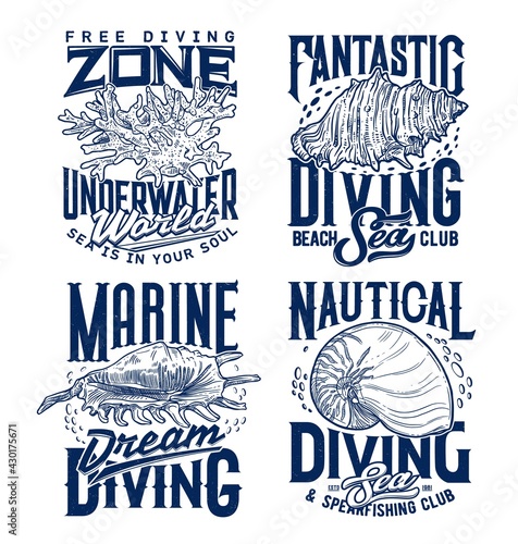 Mollusks and sea snails seashells, corals colony t-shirt print template. Marine diving and spearfishing club clothing custom print with spider and queen conch, Nautilus shell and vintage typography