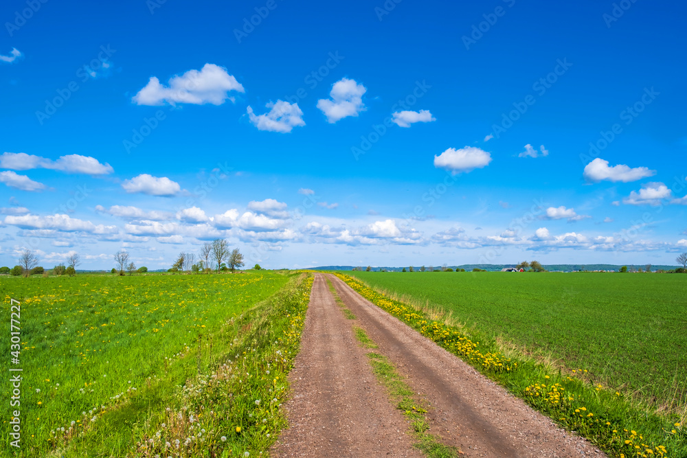 Gravel road over the cultivated fields in the country Gravel road over the cultivated fields in the country