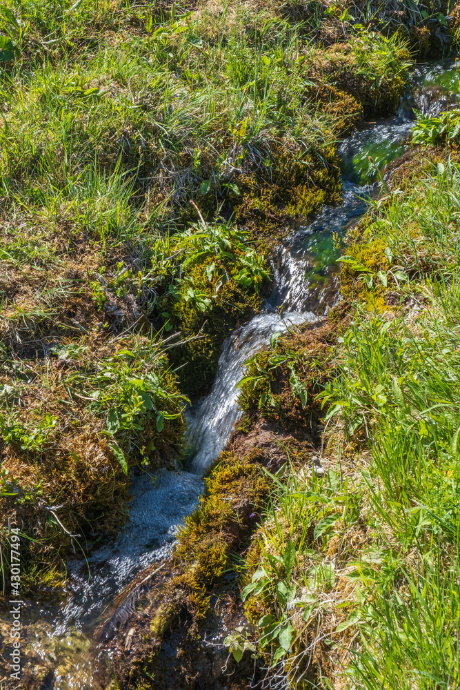 Small stream on a hillside with flowing water Small stream on a hillside with flowing water