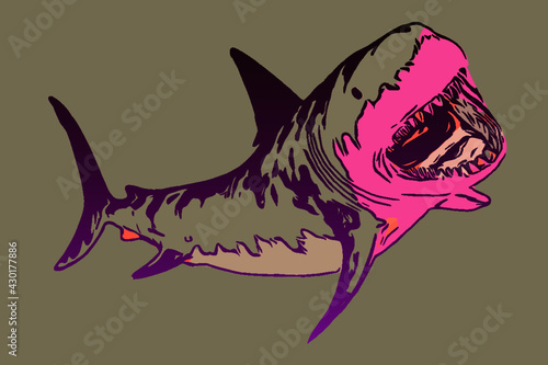 illustration of a shark