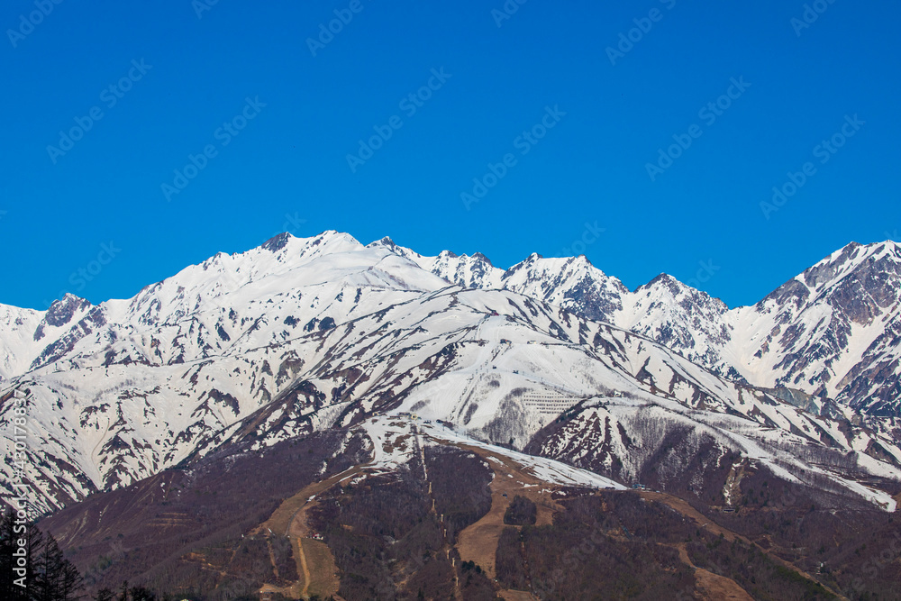 snow covered mountains