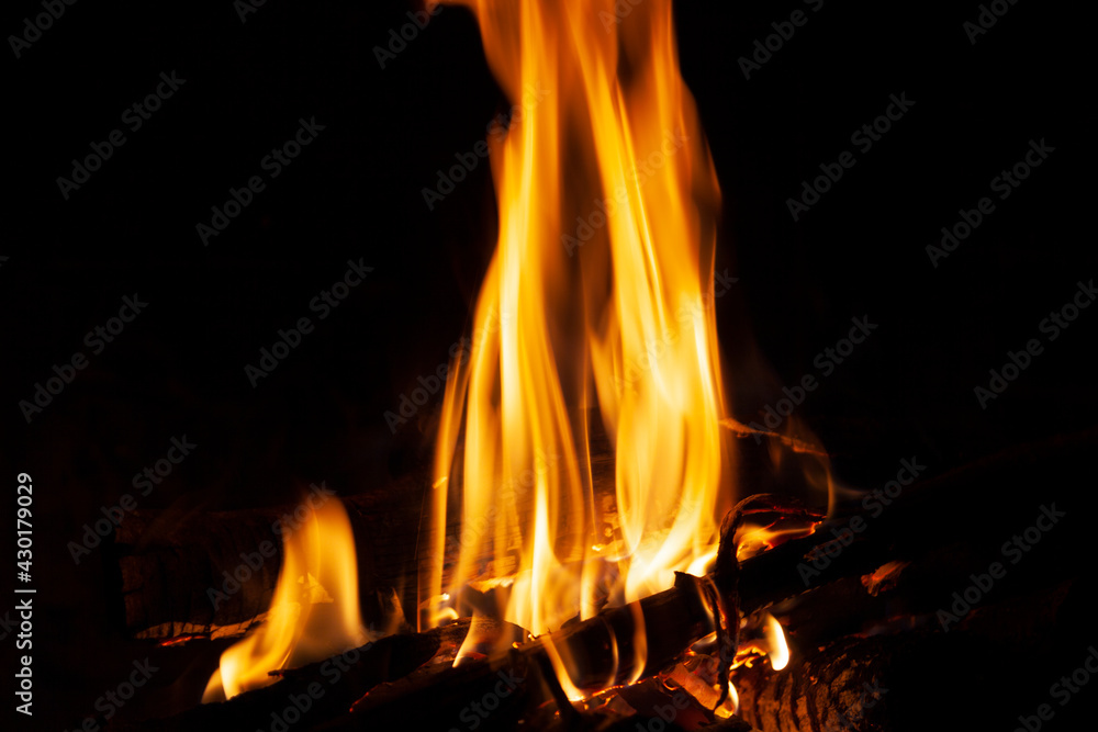Burning wood in the fire close-up