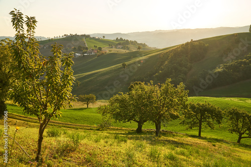 Early morning on the hills of Emilia Romagna, Italy - Italian landscape. 