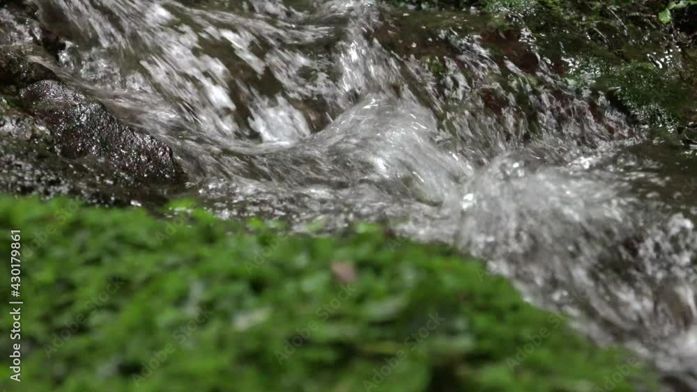 山の清水 山の清水