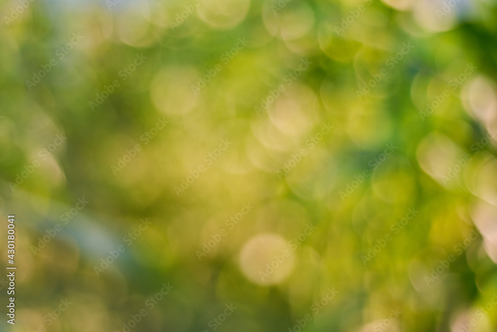 Green and yellow bokeh background Green and yellow bokeh background
