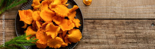 Mushrooms chanterelles in an iron retro bowl and forest moss on a wooden old background. Mock up. Top view.