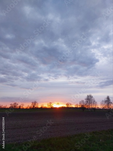 sunset over the field