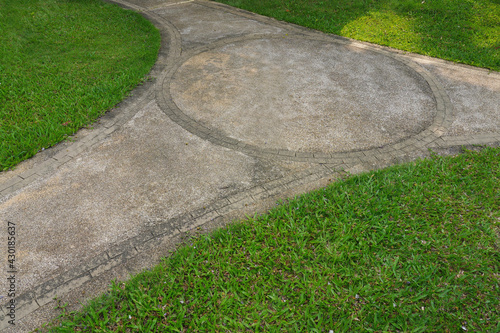 Cement walkway in with green garden.