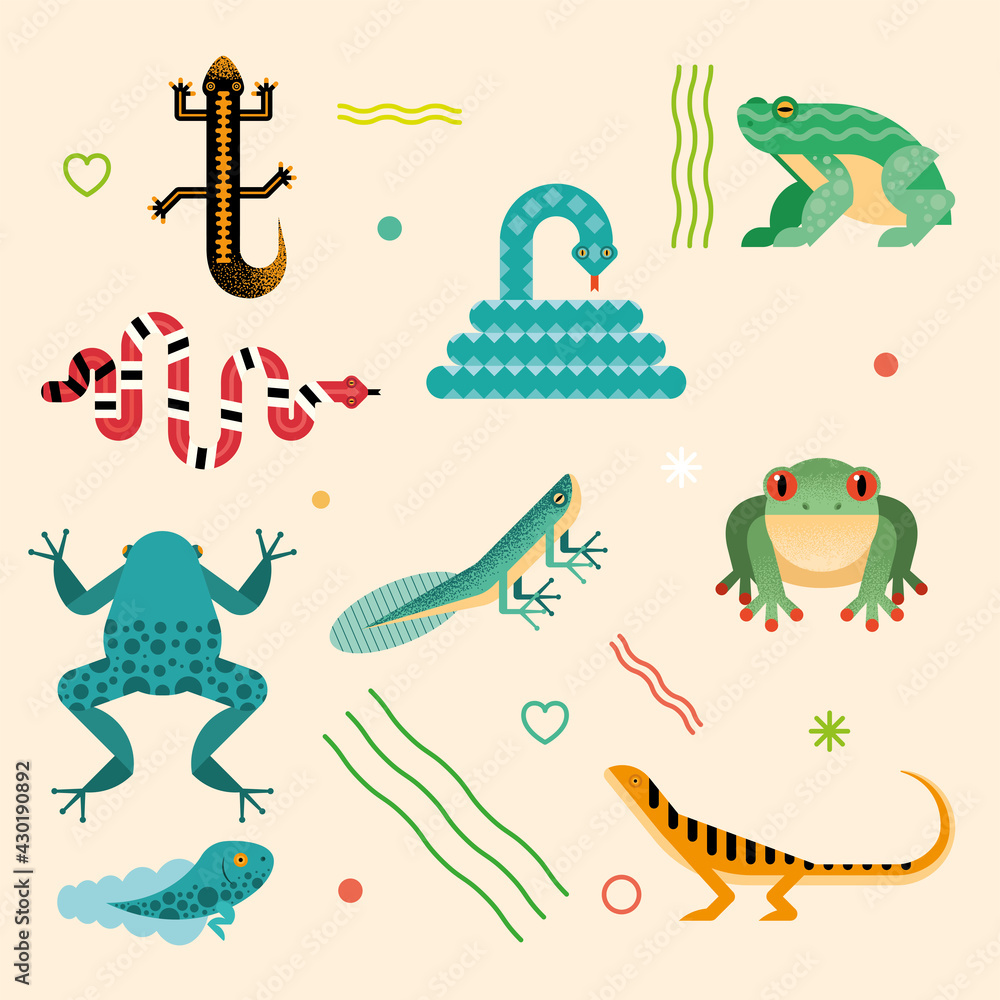 Obraz premium nine cute amphibians