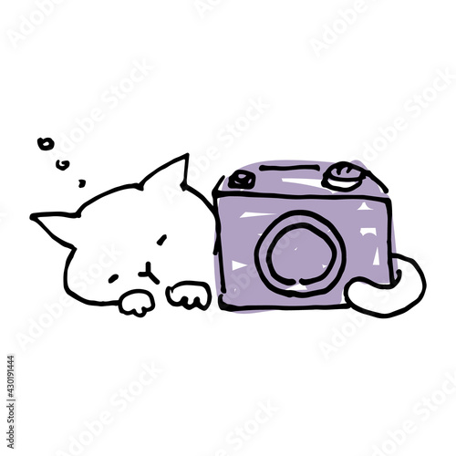 カメラと眠っている猫の手描きイラスト