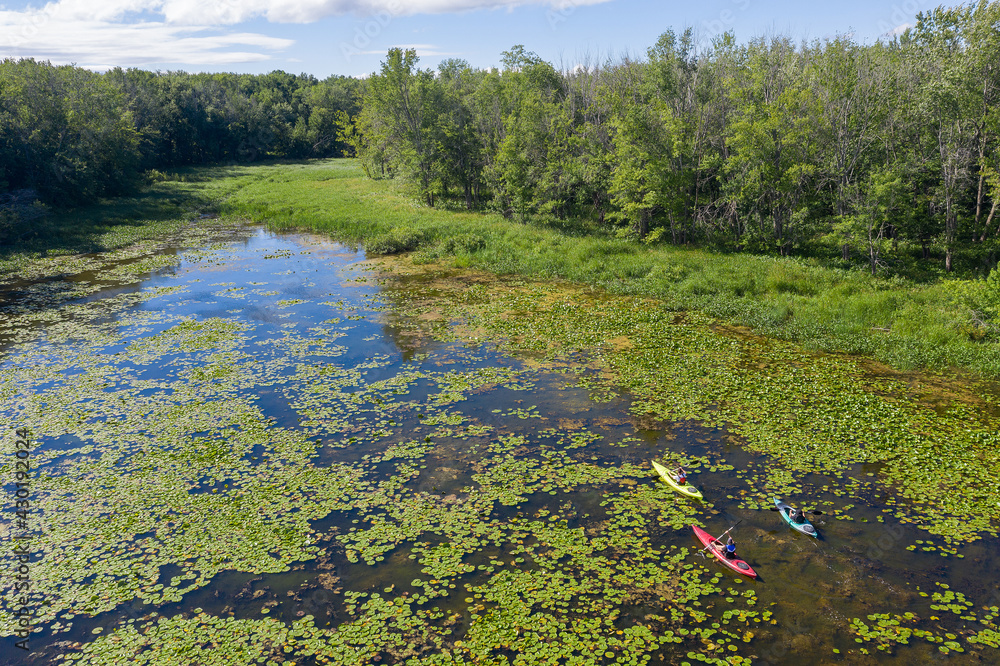 Aerial drone photo of Grandfather, father and son kayaking in lily pads in the summer in Canadian wilderness
