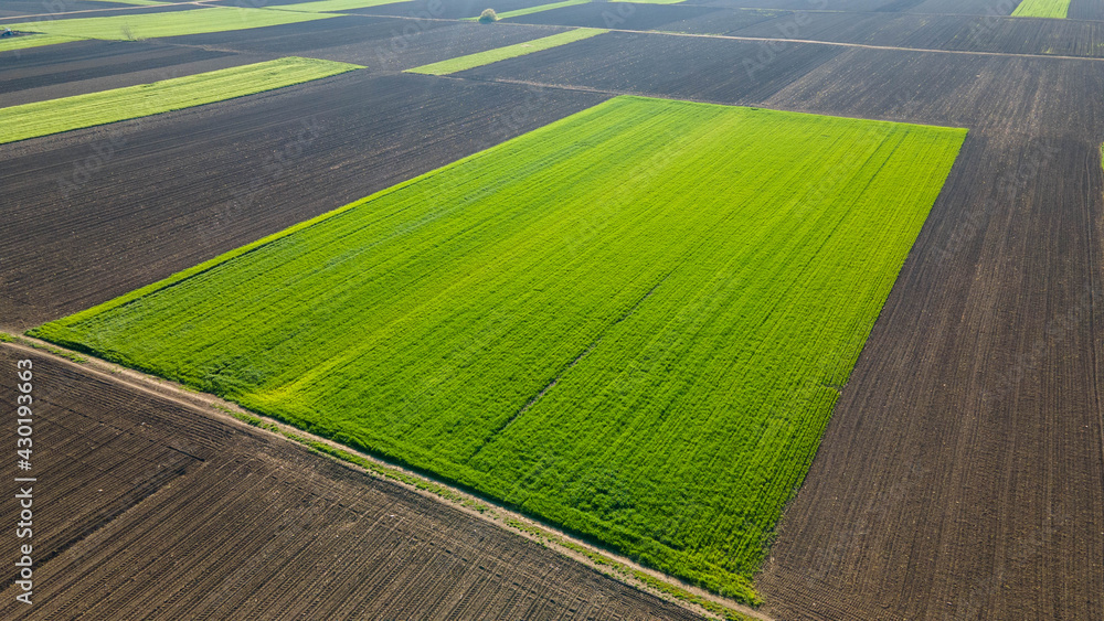 Drone shot of green agriculture fields in Serbia Europe.