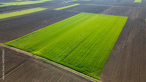 Drone shot of green agriculture fields in Serbia Europe.