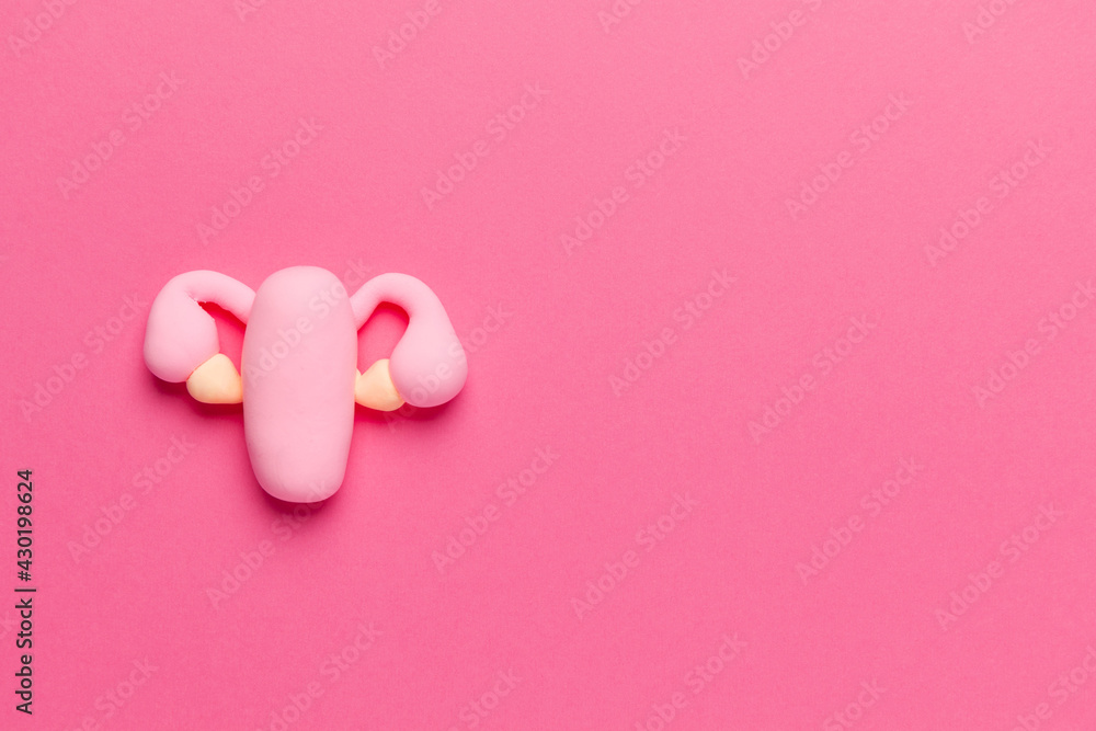 The female reproductive organ on pink is the uterus with ovaries. Copy space for text. The female reproductive organ on pink is the uterus with ovaries. Copy space for text.
