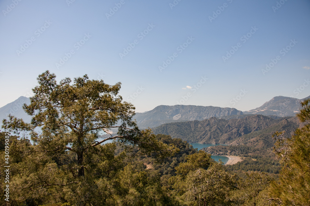 beautiful view of green trees on hills and sea bay and clear blue sky