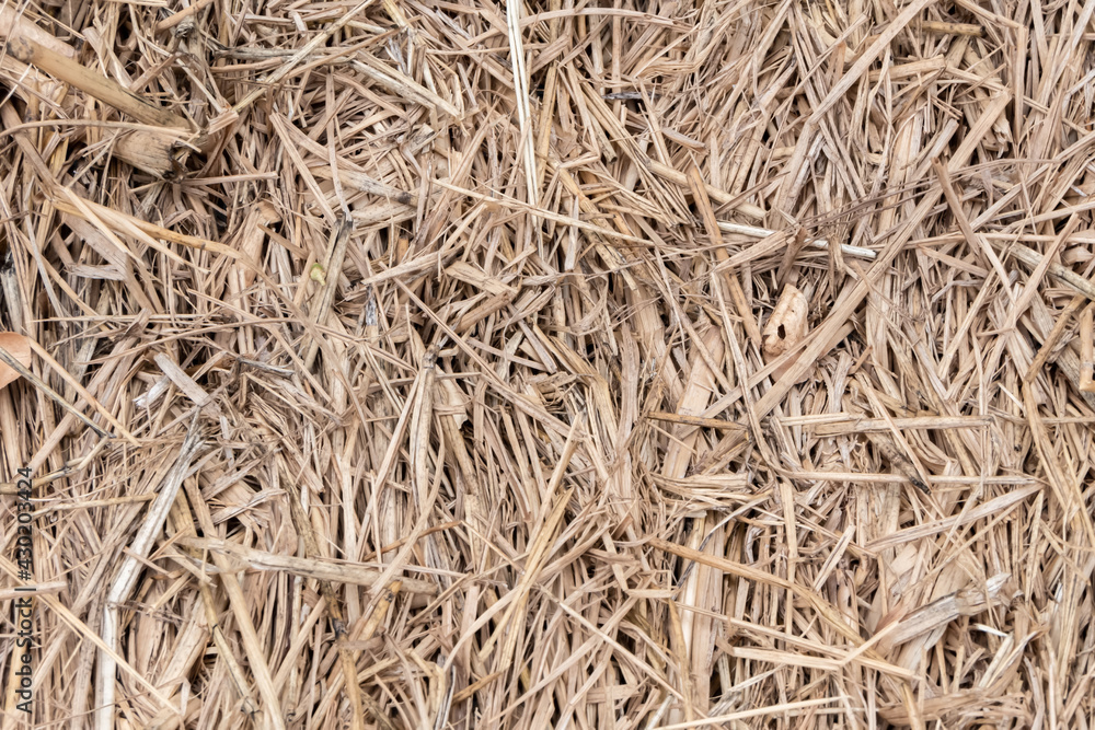 Rice straw texture background image. Rice straw texture background image.