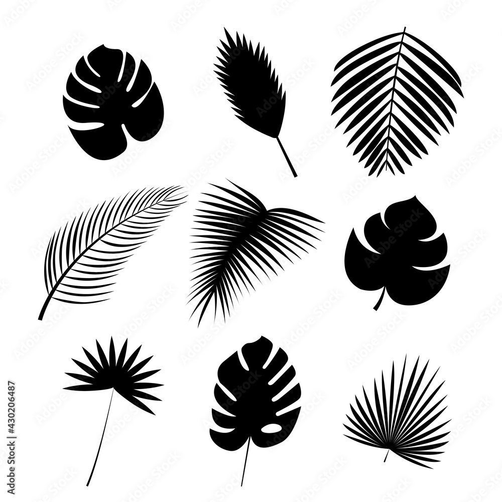 Black silhouettes of palm leaf Icon set Vector illustration of different exotic lush foliage isolated on white background Black silhouettes of palm leaf Icon set Vector illustration of different exotic lush foliage isolated on white background