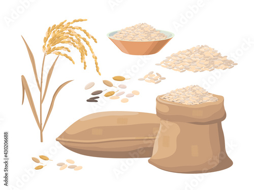 Sack of rice, rice heap, plant, rice in bowl. Harvest concept. Vector illustrations set isolated on white background.
