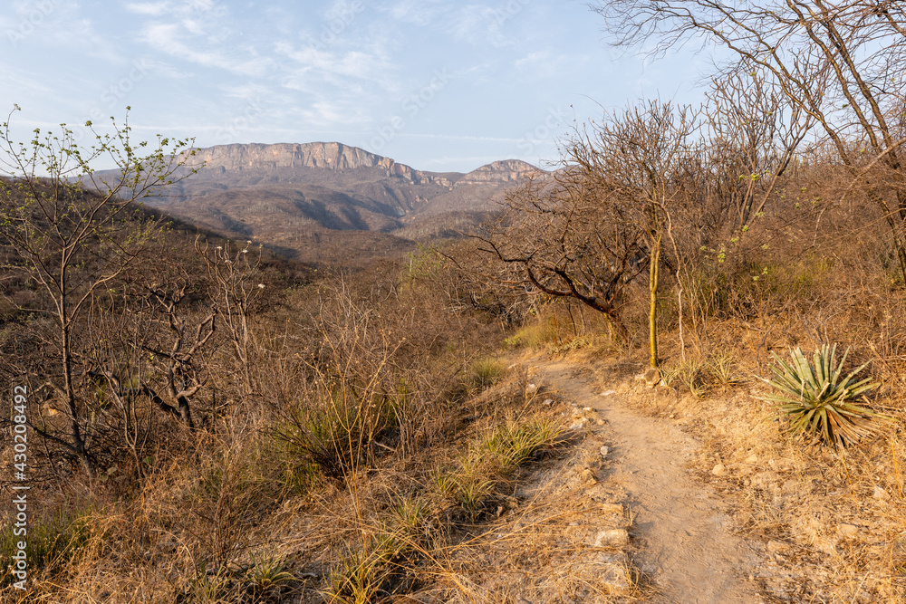Hiking path in the semi-desertic mountains of Oaxaca, Mexico.