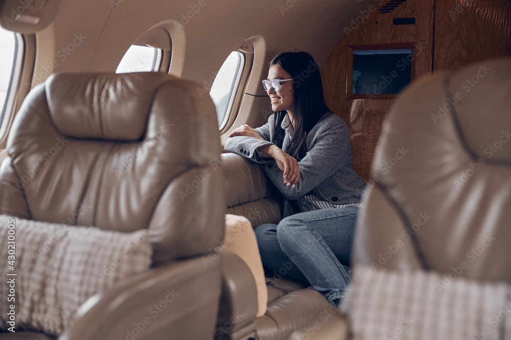 Happy smiling beautiful business woman in private jet