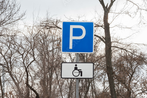 disabled parking sign on the background of branchy trees