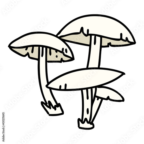wild mushrooms