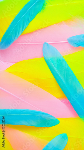 Multicolored artificial feathers. Yellow, blue and pink colors background. Feathers for creativity and for creating a dreamcatcher