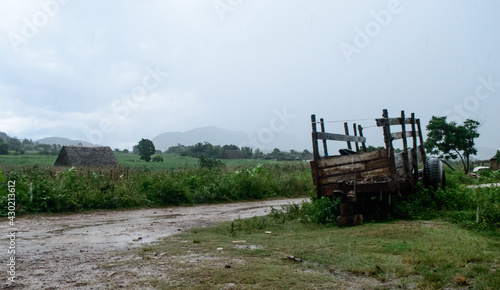 countryside view of a tumbril in a rainy day © Eduardo