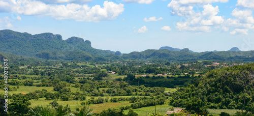 Antler, Mogote Landscape in Viñales, Pinar del Rio, Cuba