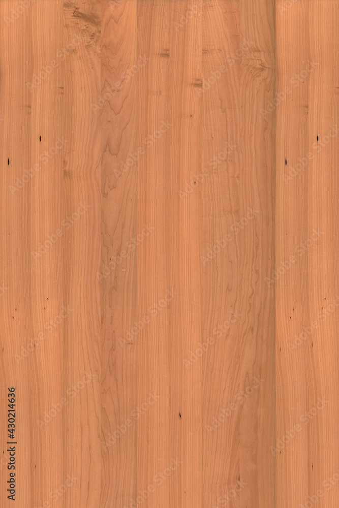 Fototapeta premium brown maple wood tree timber backdrop texture structure surface